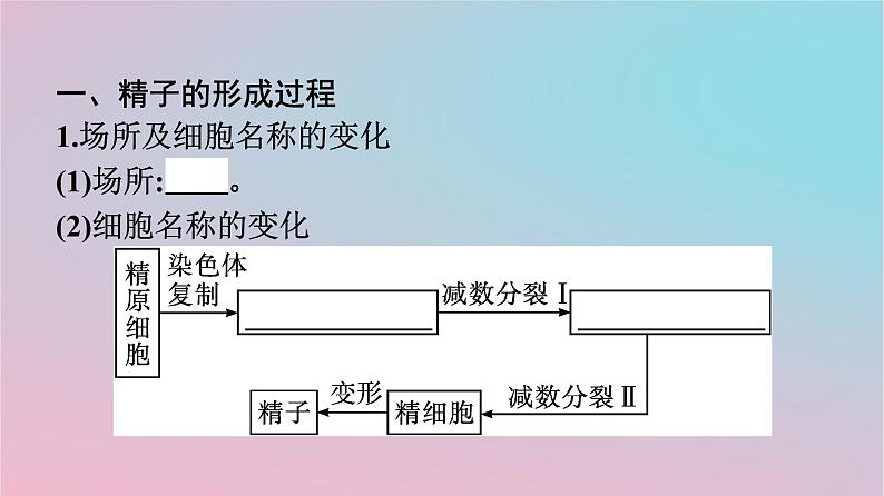 新教材2023年高中生物第2章基因和染色体的关系第1节减数分裂和受精作用第1课时减数分裂课件新人教版必修204