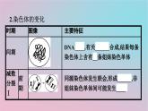 新教材2023年高中生物第2章基因和染色体的关系第1节减数分裂和受精作用第1课时减数分裂课件新人教版必修2