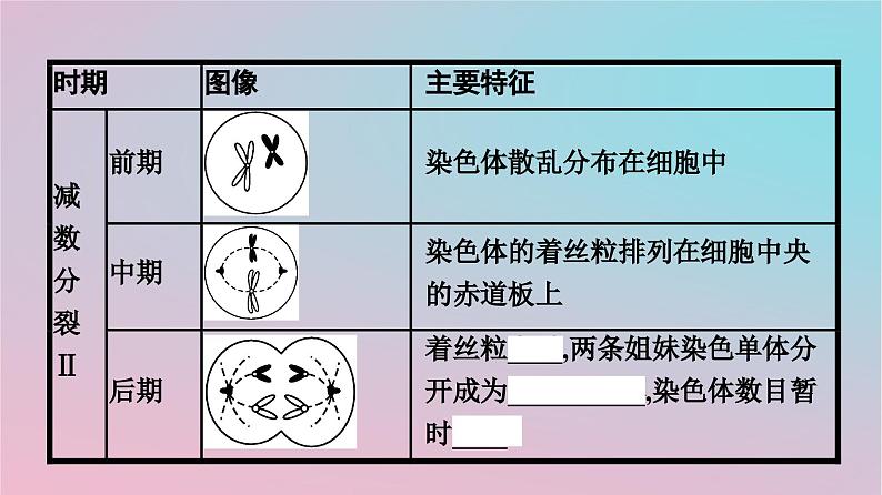 新教材2023年高中生物第2章基因和染色体的关系第1节减数分裂和受精作用第1课时减数分裂课件新人教版必修207