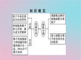 新教材2023年高中生物第2章基因和染色体的关系第1节减数分裂和受精作用第2课时观察蝗虫精母细胞减数分裂装片及受精作用课件新人教版必修2