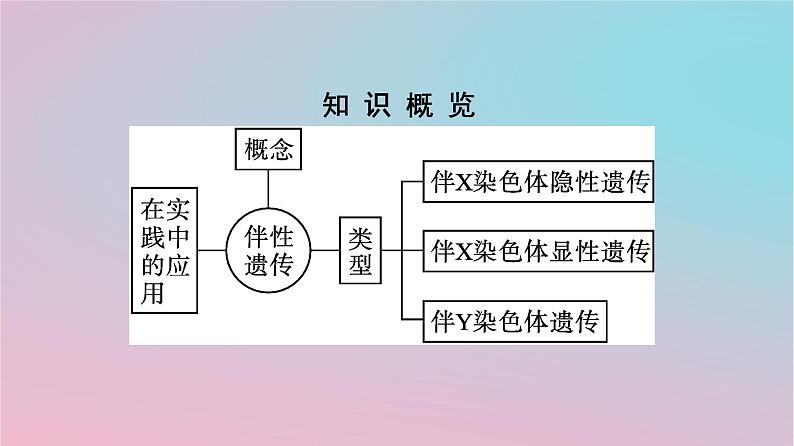 新教材2023年高中生物第2章基因和染色体的关系第3节伴性遗传课件新人教版必修2第3页