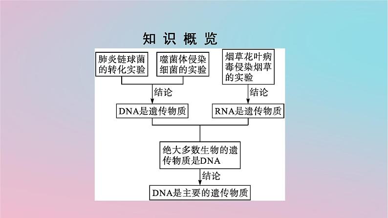 新教材2023年高中生物第3章基因的本质第1节DNA是主要的遗传物质课件新人教版必修203