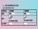 新教材2023年高中生物第3章基因的本质第1节DNA是主要的遗传物质课件新人教版必修2