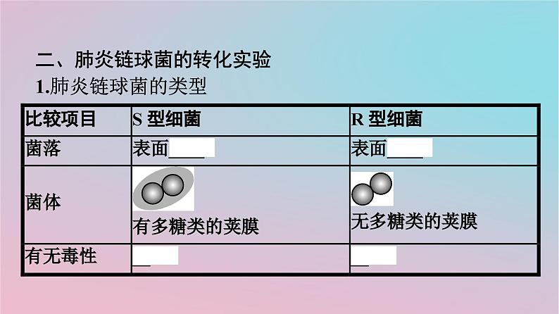 新教材2023年高中生物第3章基因的本质第1节DNA是主要的遗传物质课件新人教版必修205