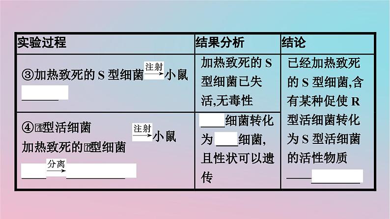 新教材2023年高中生物第3章基因的本质第1节DNA是主要的遗传物质课件新人教版必修207