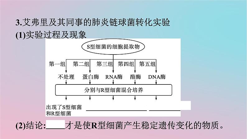 新教材2023年高中生物第3章基因的本质第1节DNA是主要的遗传物质课件新人教版必修208