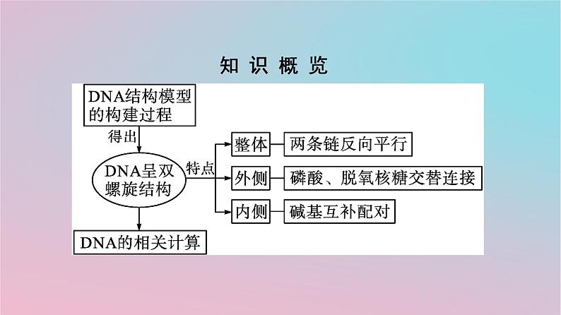 新教材2023年高中生物第3章基因的本质第2节DNA的结构课件新人教版必修203