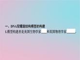 新教材2023年高中生物第3章基因的本质第2节DNA的结构课件新人教版必修2