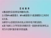 新教材2023年高中生物第4章基因的表达第1节基因指导蛋白质的合成课件新人教版必修2