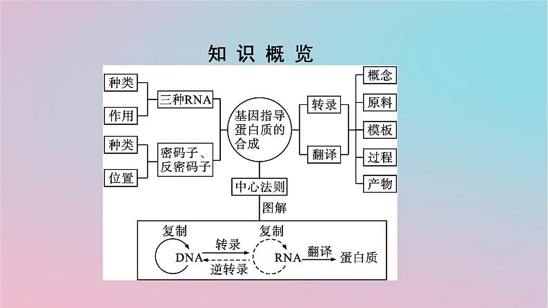 新教材2023年高中生物第4章基因的表达第1节基因指导蛋白质的合成课件新人教版必修2第3页