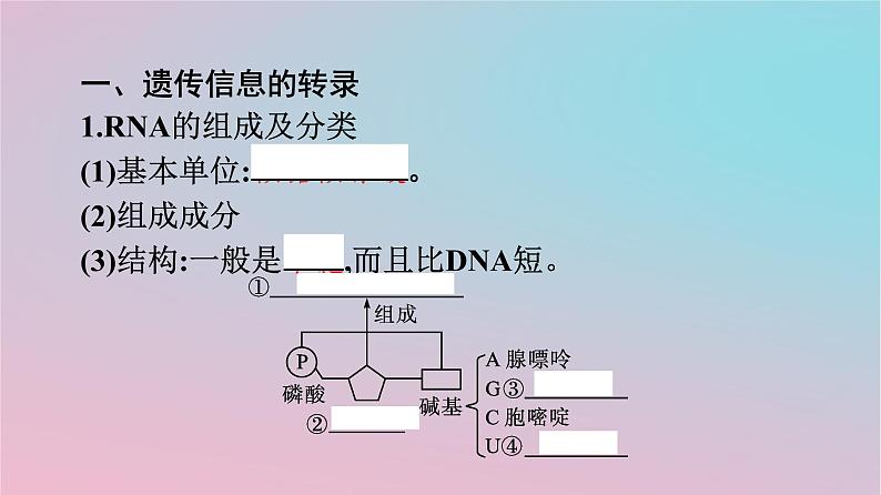 新教材2023年高中生物第4章基因的表达第1节基因指导蛋白质的合成课件新人教版必修2第4页