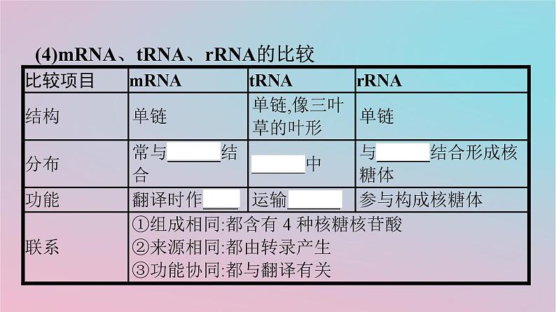 新教材2023年高中生物第4章基因的表达第1节基因指导蛋白质的合成课件新人教版必修2第5页