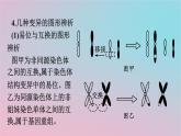 新教材2023年高中生物第5章基因突变及其他变异章末核心素养整合课件新人教版必修2