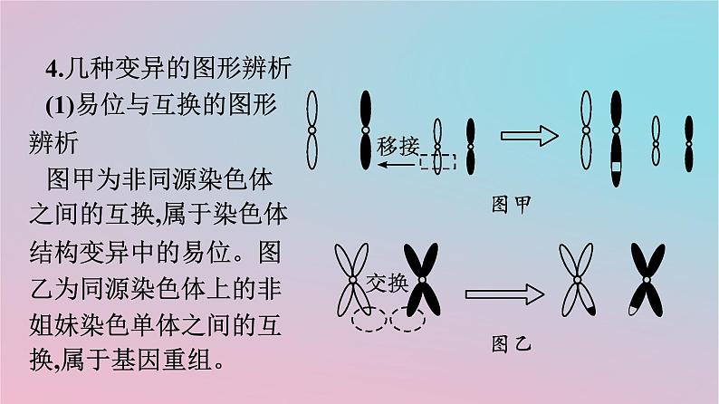 新教材2023年高中生物第5章基因突变及其他变异章末核心素养整合课件新人教版必修2第5页