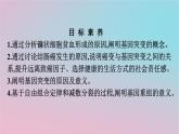 新教材2023年高中生物第5章基因突变及其他变异第1节基因突变和基因重组课件新人教版必修2
