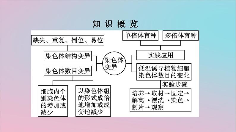 新教材2023年高中生物第5章基因突变及其他变异第2节染色体变异课件新人教版必修204