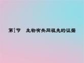 新教材2023年高中生物第6章生物的进化第1节生物有共同祖先的证据课件新人教版必修2
