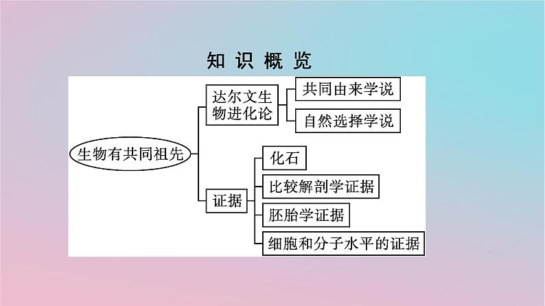 新教材2023年高中生物第6章生物的进化第1节生物有共同祖先的证据课件新人教版必修2第3页