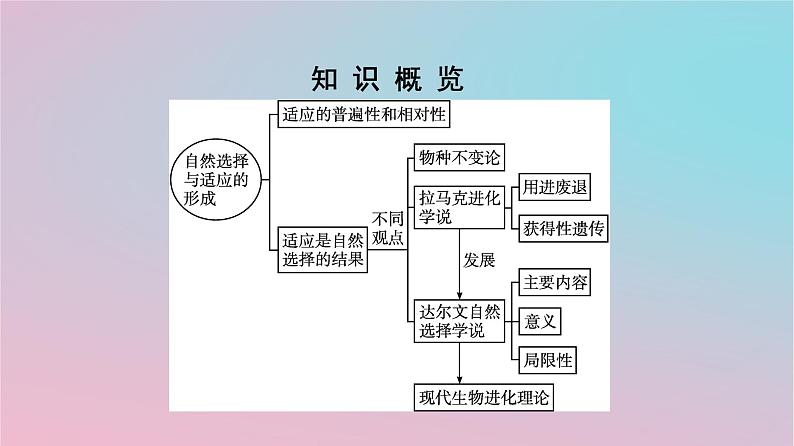 新教材2023年高中生物第6章生物的进化第2节自然选择与适应的形成课件新人教版必修203