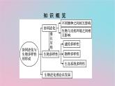 新教材2023年高中生物第6章生物的进化第4节协同进化与生物多样性的形成课件新人教版必修2