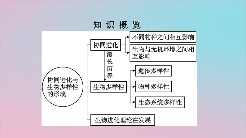 新教材2023年高中生物第6章生物的进化第4节协同进化与生物多样性的形成课件新人教版必修203