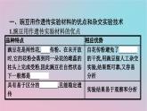 新教材2023年高中生物第1章遗传因子的发现第1节孟德尔的豌豆杂交实验一第1课时孟德尔一对相对性状杂交实验的过程和解释课件新人教版必修2