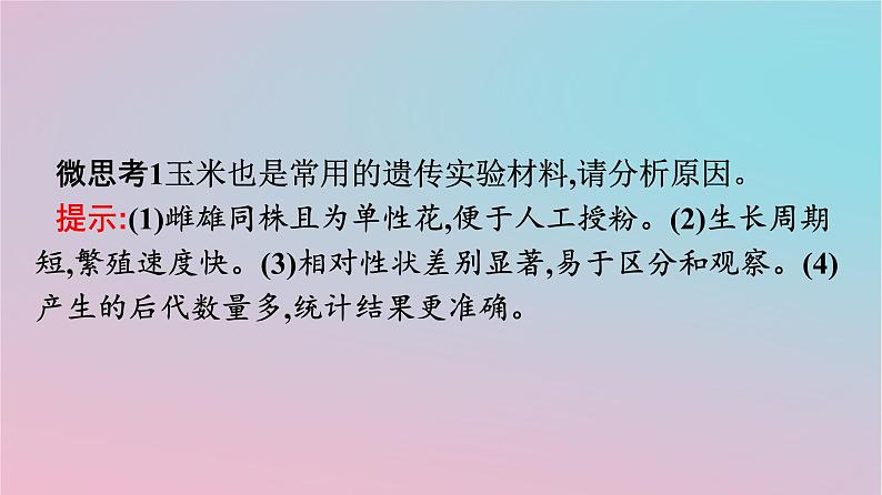 新教材2023年高中生物第1章遗传因子的发现第1节孟德尔的豌豆杂交实验一第1课时孟德尔一对相对性状杂交实验的过程和解释课件新人教版必修207