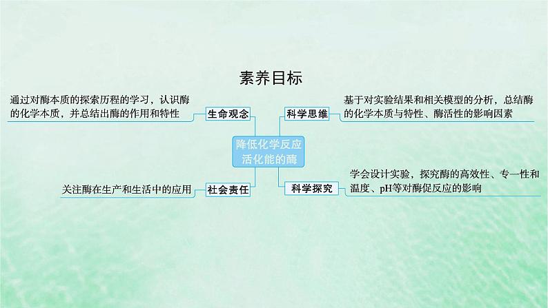 适用于新教材2024版高考生物一轮总复习第3单元细胞的代谢第10讲降低化学反应活化能的酶课件新人教版第2页