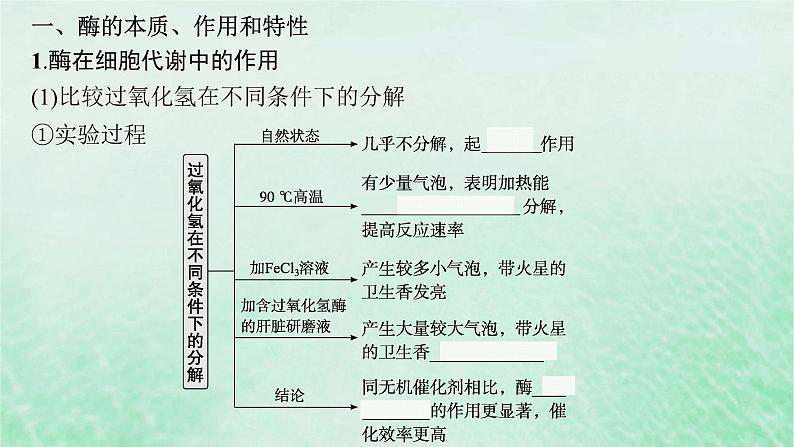 适用于新教材2024版高考生物一轮总复习第3单元细胞的代谢第10讲降低化学反应活化能的酶课件新人教版第5页