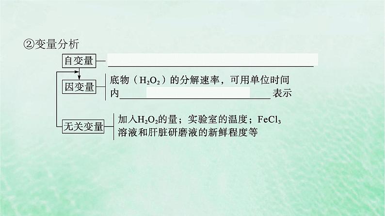 适用于新教材2024版高考生物一轮总复习第3单元细胞的代谢第10讲降低化学反应活化能的酶课件新人教版第6页