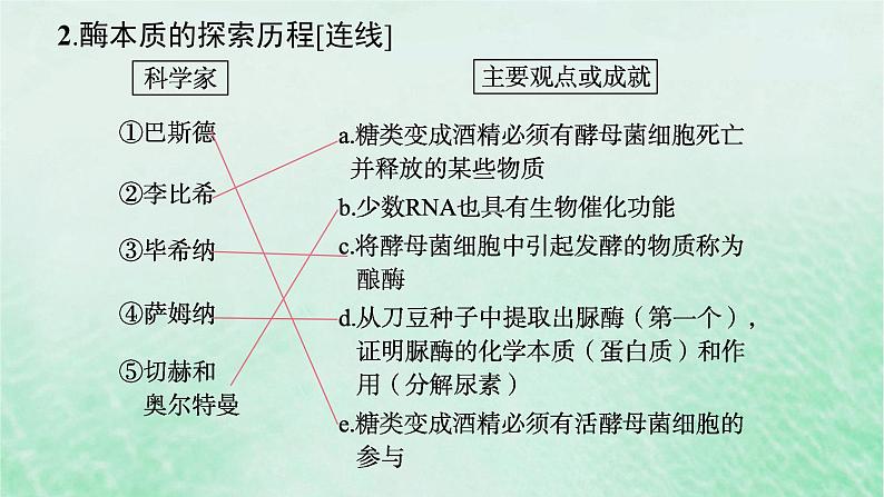 适用于新教材2024版高考生物一轮总复习第3单元细胞的代谢第10讲降低化学反应活化能的酶课件新人教版第8页