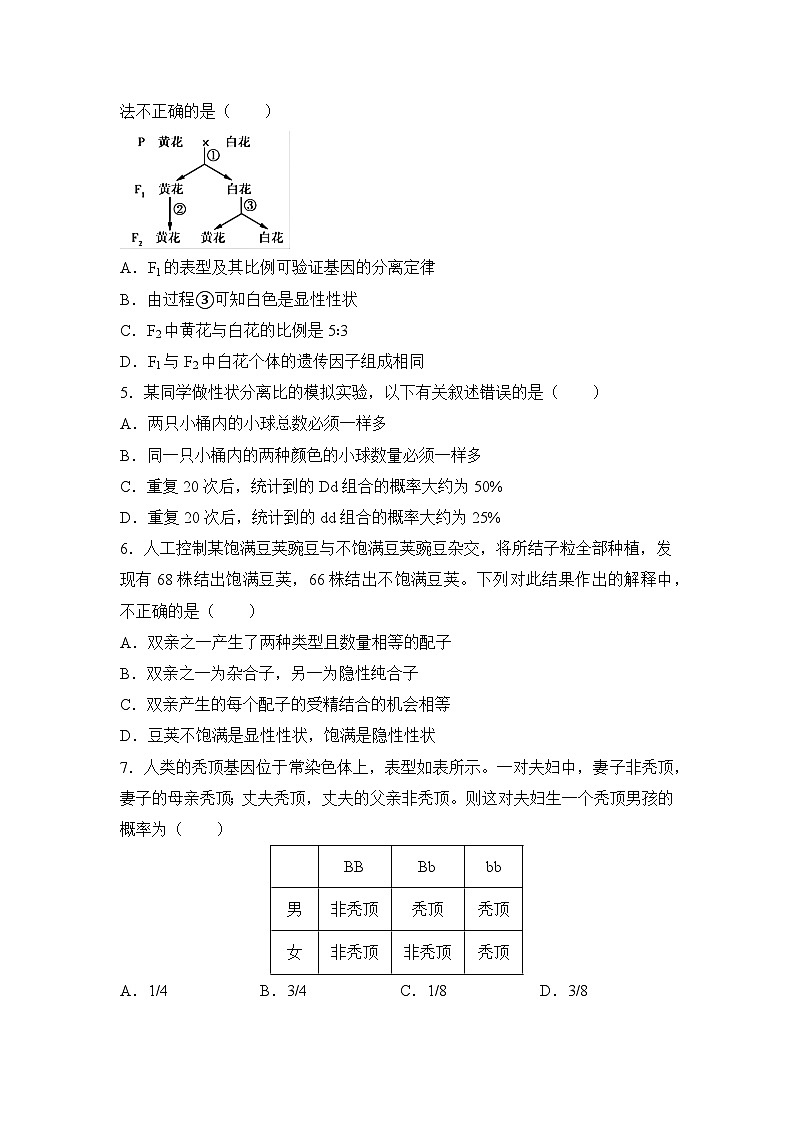 生物（新教材）高一暑假作业之巩固练习1 孟德尔的豌豆杂交实验（一）含答案解析02
