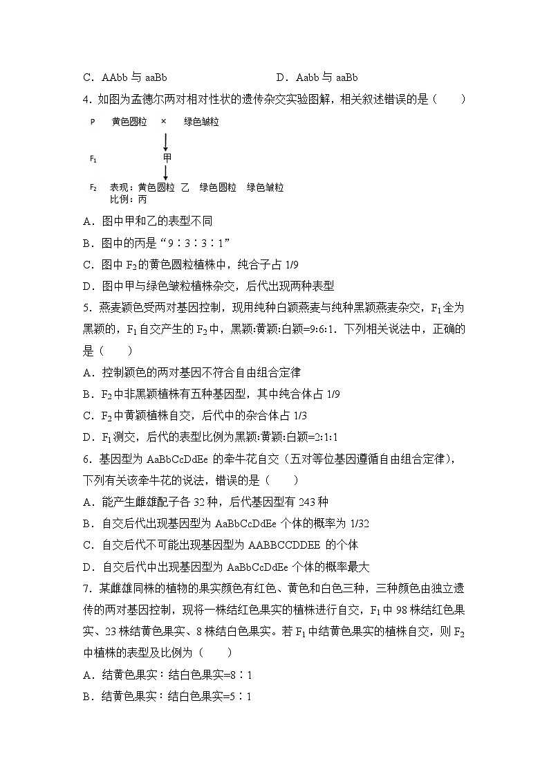 生物（新教材）高一暑假作业之巩固练习2 孟德尔的豌豆杂交实验（二）含答案解析02