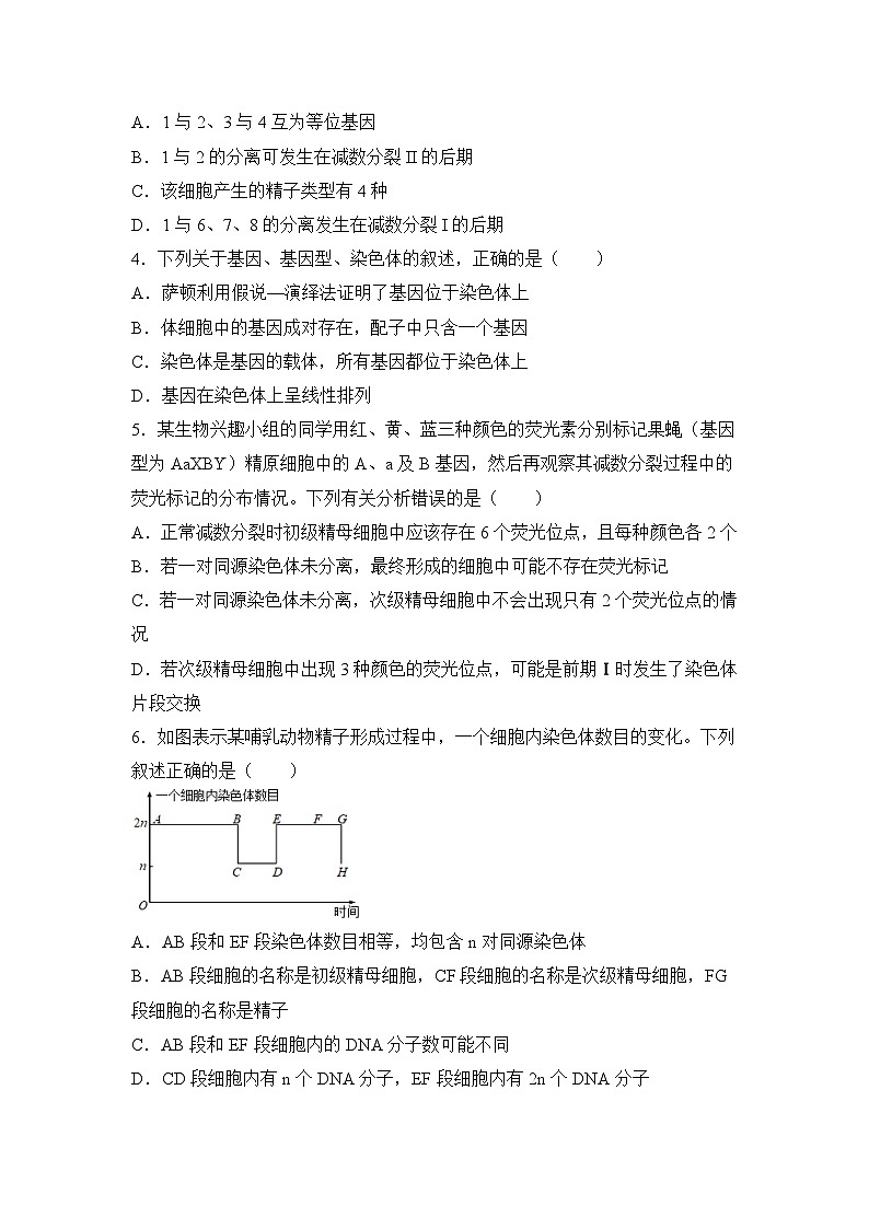生物（新教材）高一暑假作业之巩固练习3 减数分裂和受精作用  基因在染色体上含答案解析02