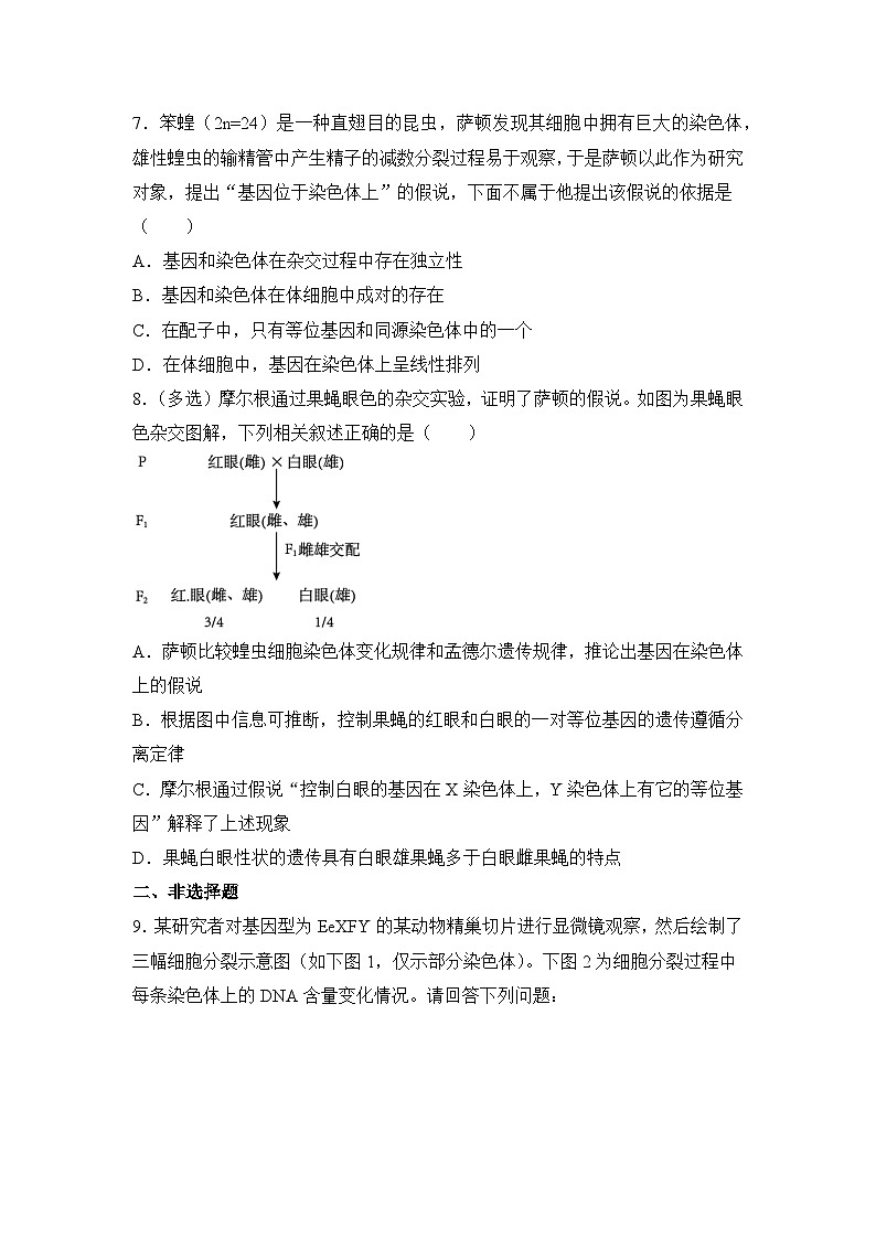 生物（新教材）高一暑假作业之巩固练习3 减数分裂和受精作用  基因在染色体上含答案解析03