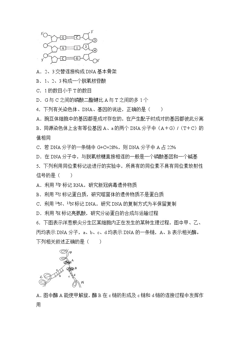 生物（新教材）高一暑假作业之巩固练习4 基因的本质含答案解析02