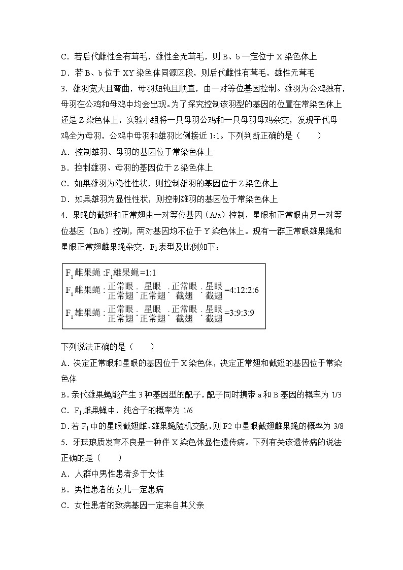 生物（新教材）高一暑假作业之巩固练习7 伴性遗传和人类遗传病含答案解析02