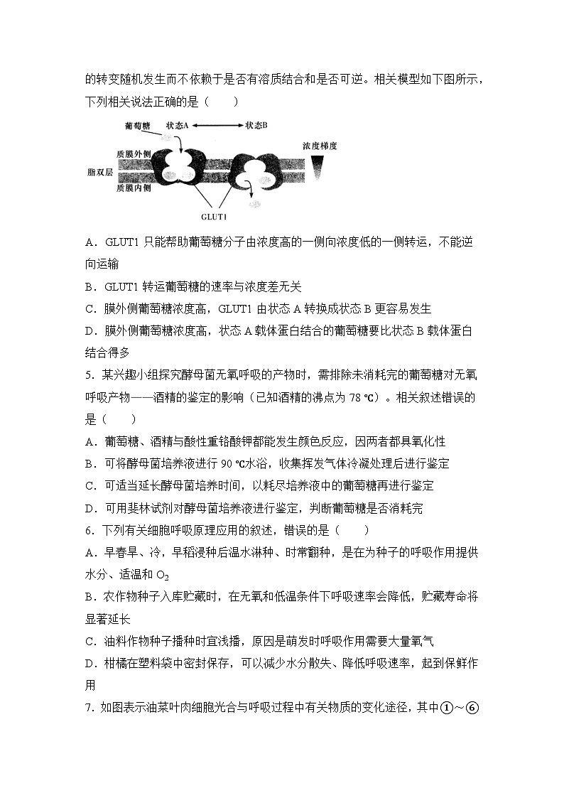 生物（新教材）高二暑假作业之巩固练习2 细胞的代谢含答案解析第2页