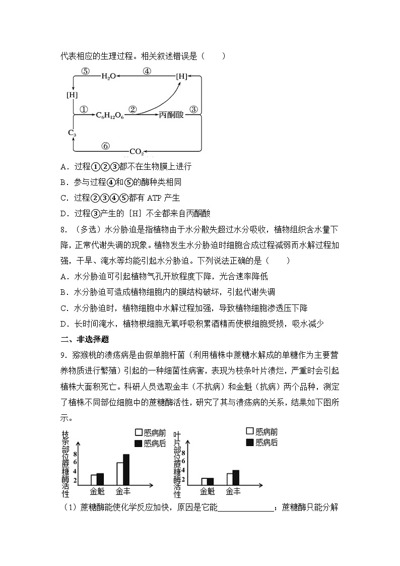 生物（新教材）高二暑假作业之巩固练习2 细胞的代谢含答案解析第3页