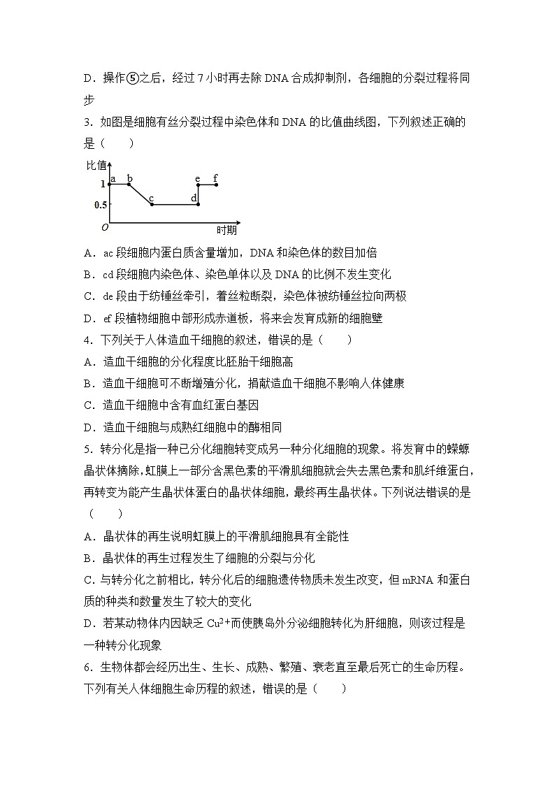 生物（新教材）高二暑假作业之巩固练习3 细胞的生命历程含答案解析第2页