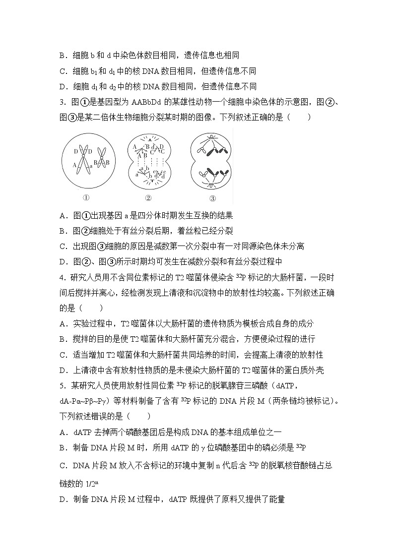 生物（新教材）高二暑假作业之巩固练习4 遗传的细胞基础与分子基础含答案解析第2页