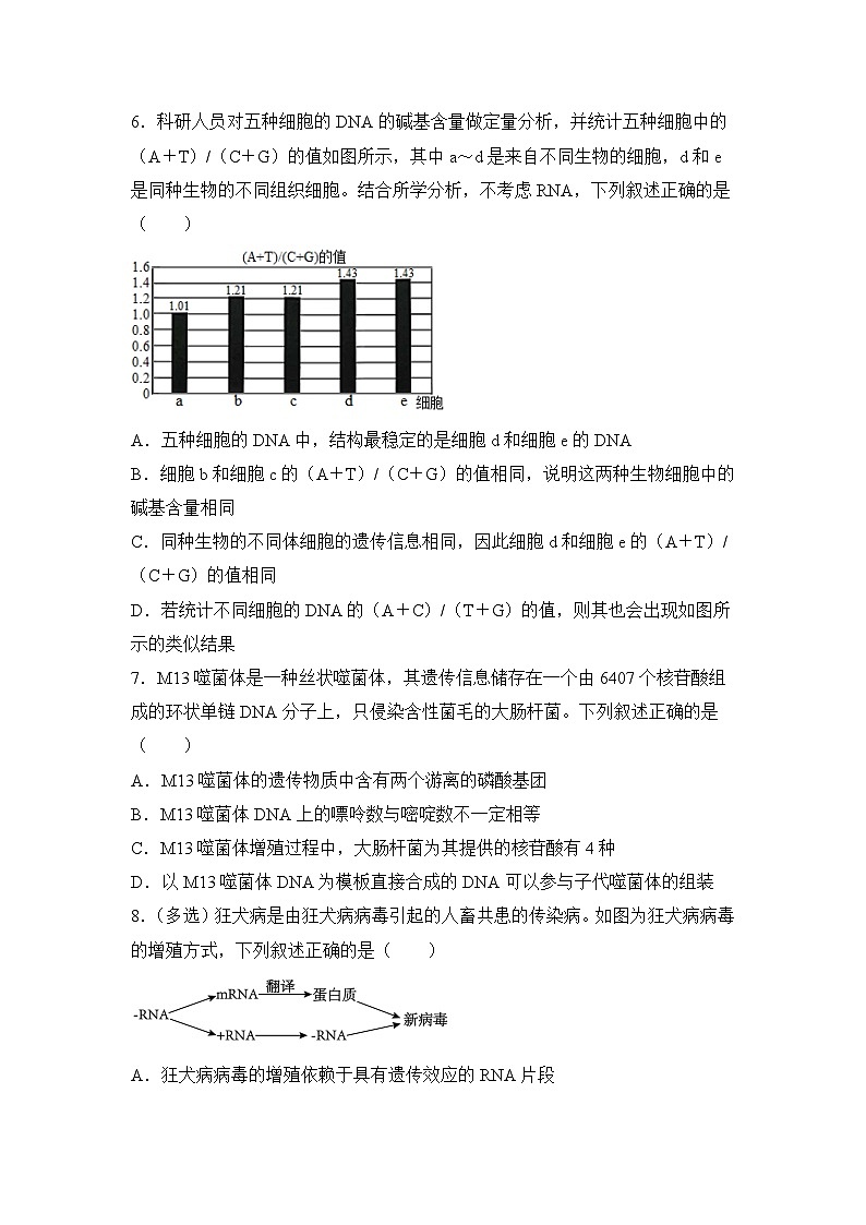 生物（新教材）高二暑假作业之巩固练习4 遗传的细胞基础与分子基础含答案解析第3页