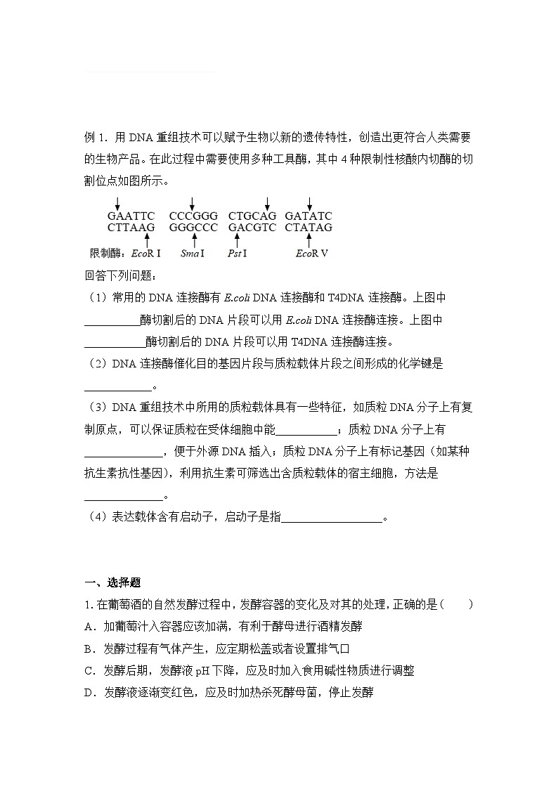 生物高二暑假作业之巩固练习9 生物技术与工程含答案解析01