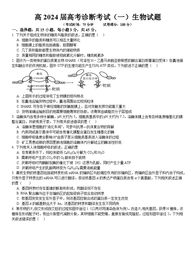 2024届重庆市巴南区高三上学期诊断考试（一模）生物试题及答案01