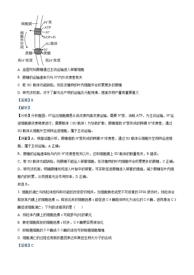 精品解析：湖南省长沙市湖南师大学附中2022-2023学年高三下学期摸底考试生物试题（解析版）第2页