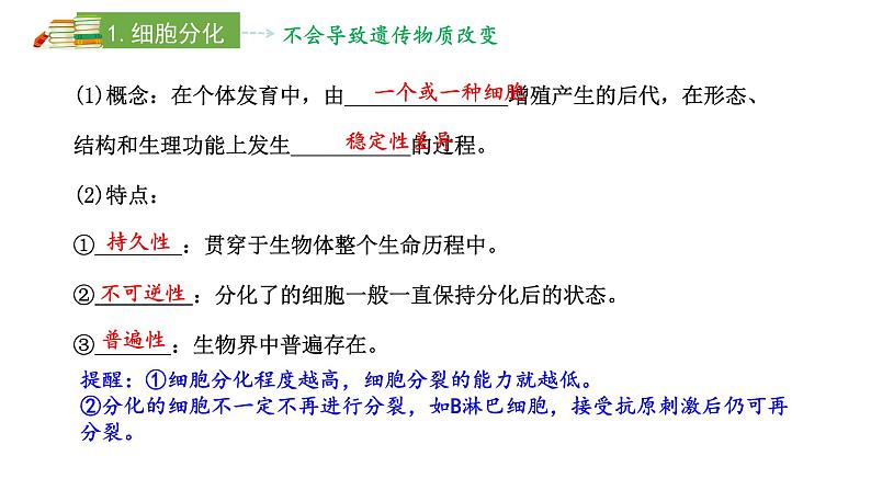 2024届新教材高三生物一轮复习课件：4.3 细胞的分化、衰老、凋亡和癌变第4页