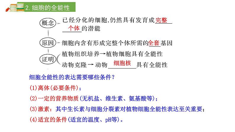 2024届新教材高三生物一轮复习课件：4.3 细胞的分化、衰老、凋亡和癌变第8页