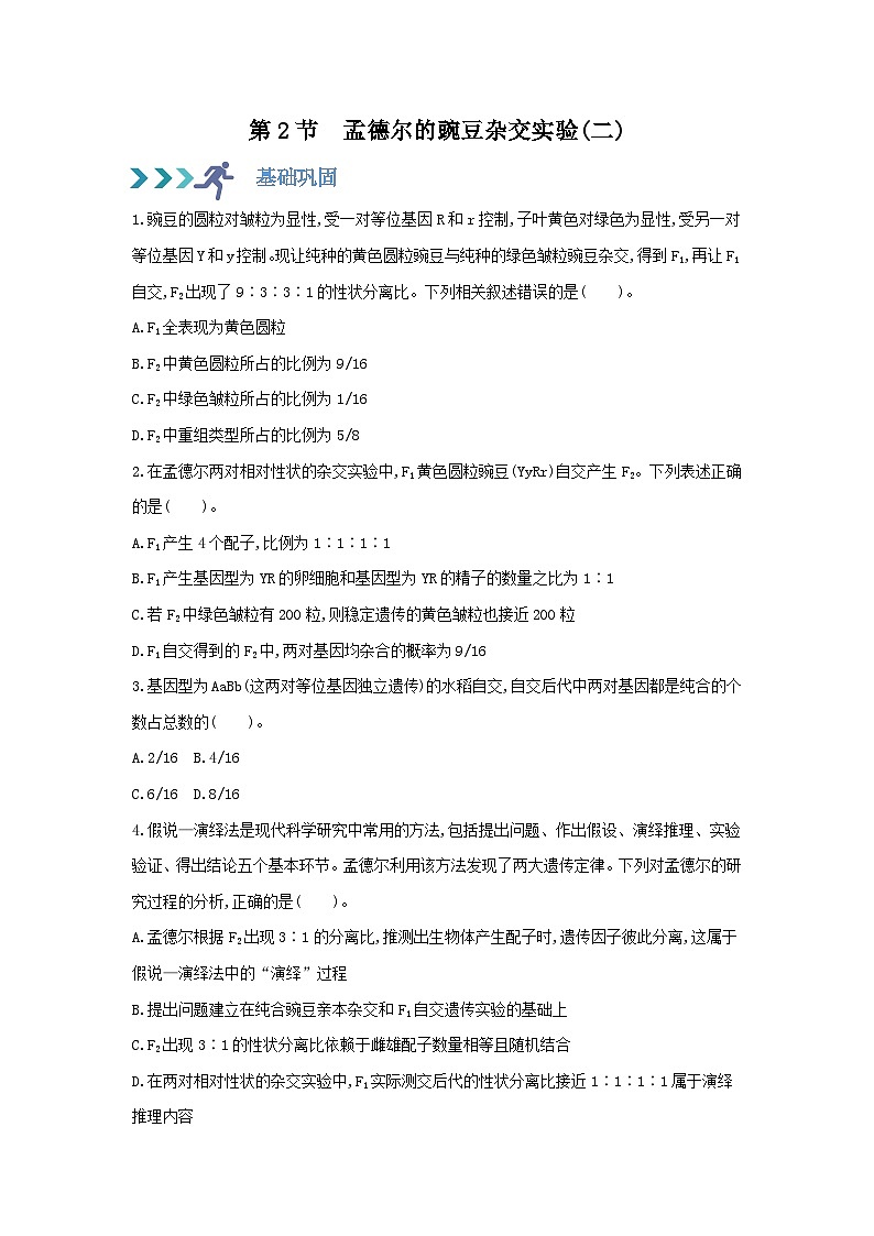高中生物 （人教版2019）必修2 同步分层训练  1.2 孟德尔的豌豆杂交实验(二) ( Word版含解析)01
