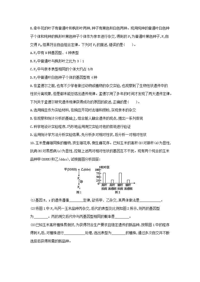 高中生物 （人教版2019）必修2 同步分层训练  1.2 孟德尔的豌豆杂交实验(二) ( Word版含解析)03