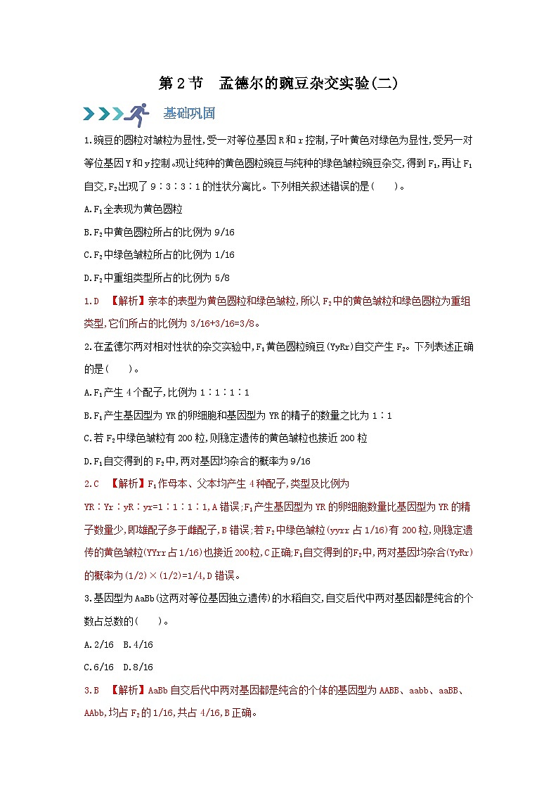 高中生物 （人教版2019）必修2 同步分层训练  1.2 孟德尔的豌豆杂交实验(二) ( Word版含解析)01